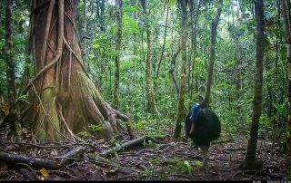 Camera Traps - March 2026